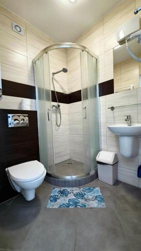 a bathroom with a shower and a toilet and a sink at Solar Bed & Breakfast in Karwia