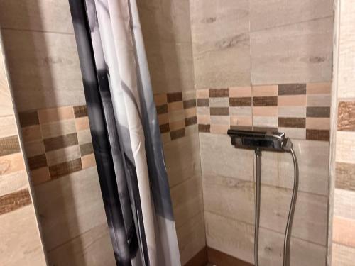 a shower with a glass door in a bathroom at Princeps De Cura Traditional in Symi