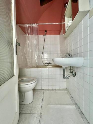a small bathroom with a toilet and a sink at Historic Center Cottage Style Apartment in Pontremoli