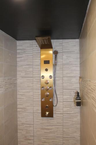 a bathroom with a shower with a control panel at roulotte de charme avec jacuzzi privé in Beaupouyet