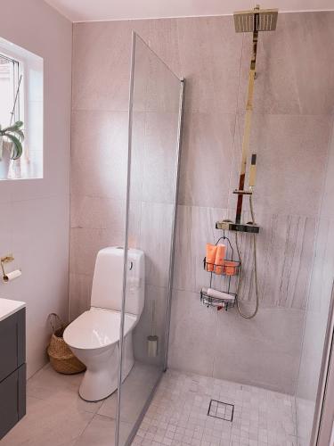 a bathroom with a toilet and a glass shower stall at Reinholds Gästhus in Kareby