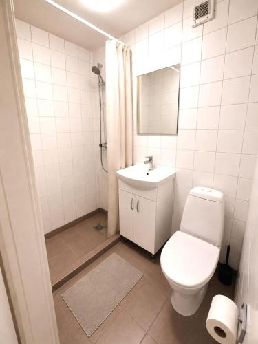 ein weißes Badezimmer mit Toilette und Waschbecken in der Unterkunft Java Themed flat near Zoo in Aalborg