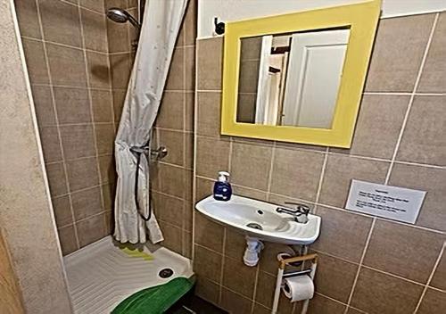 a bathroom with a shower with a sink and a mirror at Gite du Passignac in Saint-Maigrin