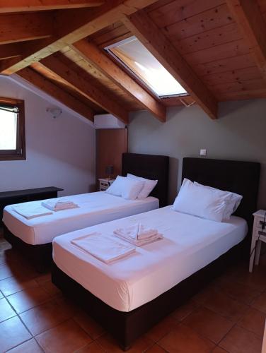 two beds in a bedroom with a skylight at Tesoro of Ithaca in Stavros
