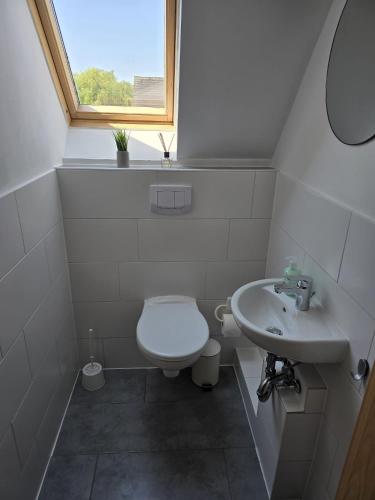 a small bathroom with a toilet and a sink at Ferienhaus am Bethlehem Kanal in Papenburg