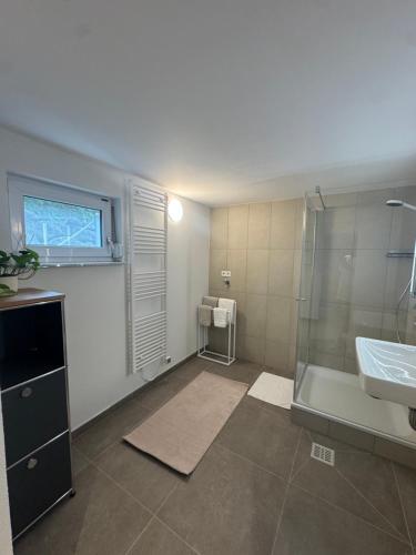 a bathroom with a shower and a sink at Casa Souterrain in Immenstaad am Bodensee