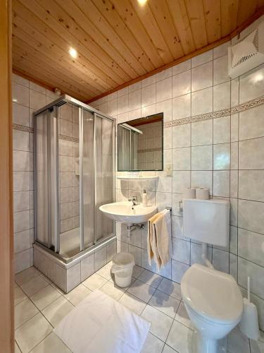 a bathroom with a sink and a toilet and a shower at Pension Möslehnerhof in Ramsau am Dachstein