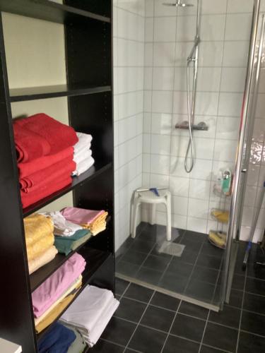 a bathroom with a shower and a shelf with towels at Fagertun in Lillesand