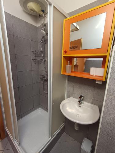 a bathroom with a shower and a sink and a mirror at Studio Celjeapp in Celje
