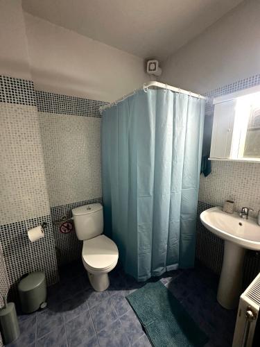 a bathroom with a toilet and a sink at Konitsa Valley in Konitsa
