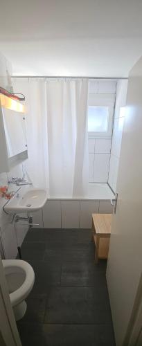 a bathroom with a toilet and a sink and a window at Sensi Living Dorf in Freienbach