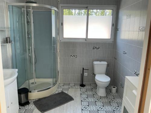 a bathroom with a shower and a toilet and a sink at Les Terasses d Eole in Assigny