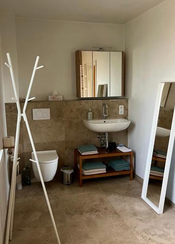 a bathroom with a sink and a toilet and a mirror at Ferienhaus im Grünen in Weimar