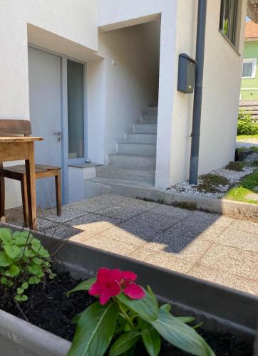 a flower in a planter in front of a building at Apartma BONUS in Begunje na Gorenjskem