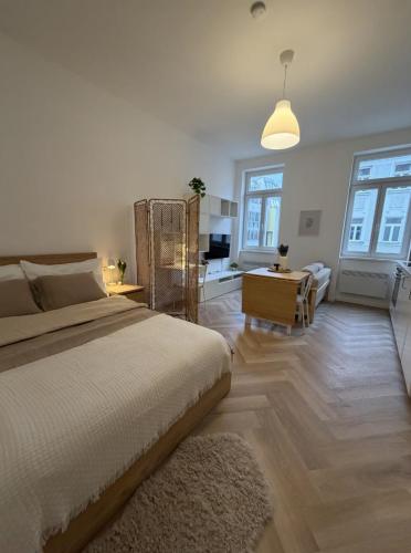 Renovated Apartment near Center