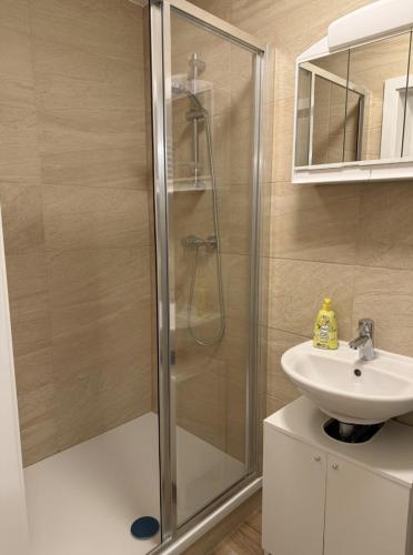 Renovated Apartment near Center