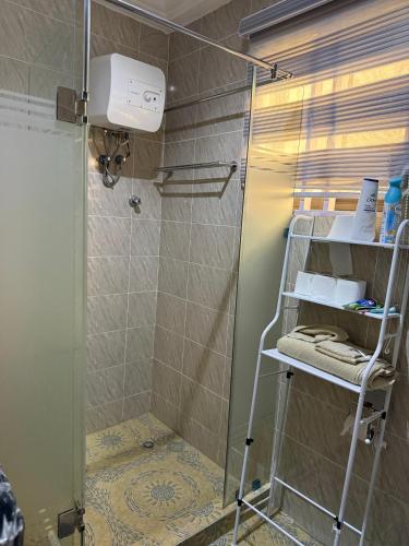 a shower with a glass door in a bathroom at Asibbey Lodge in Maijaw