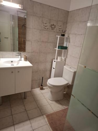 ein Badezimmer mit weißer Toilette und Waschbecken in der Unterkunft Studio in Levens