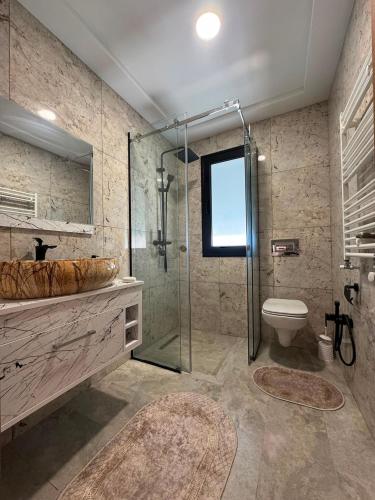 a bathroom with a shower and a sink and a toilet at Prestige Pool Retreat in Hammamet