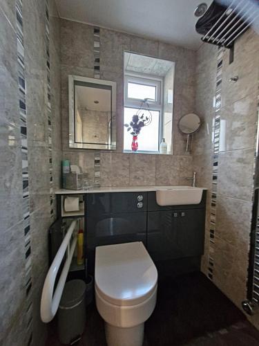 a bathroom with a toilet and a sink and a mirror at Art House in Portsmouth