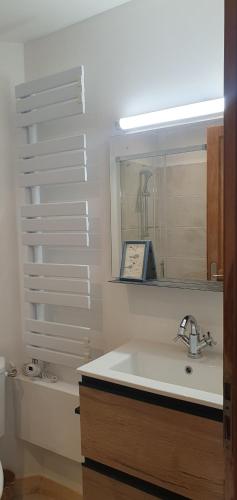 a bathroom with a sink and a mirror and a tub at Duplex de l'abbaye in Pébrac