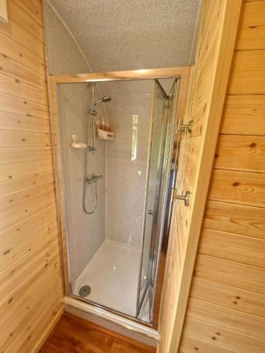 a shower with a glass door in a room at The Star Inn in Dylife