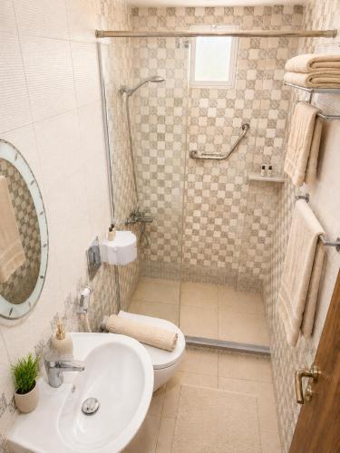 a bathroom with a shower and a sink and a toilet at Sky Royal Hotel in Petra