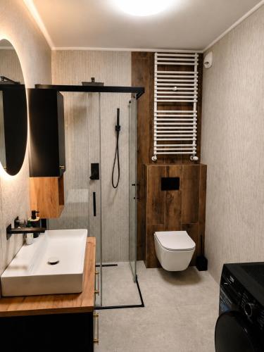 a bathroom with a sink and a toilet at Sportova Elegance Apartment in Płock