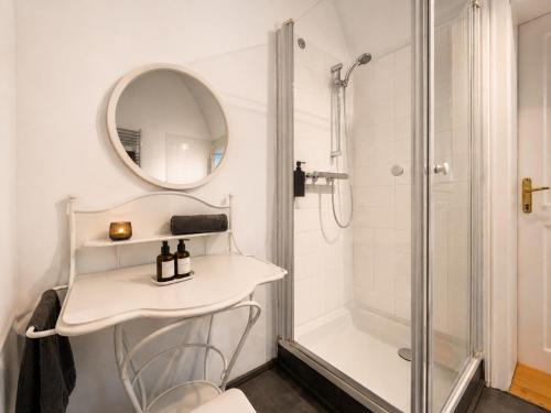a bathroom with a shower and a sink and a mirror at Schloss Hollenburg Aparte Apartments in Krems an der Donau
