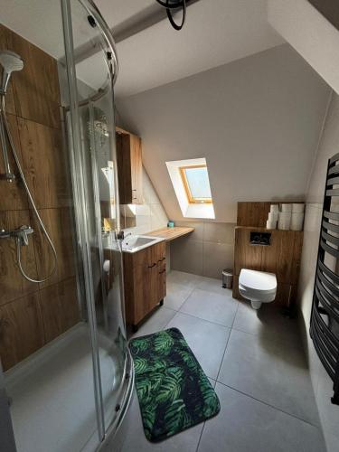 a bathroom with a shower and a toilet and a sink at Apartament Eden in Srebrna Góra