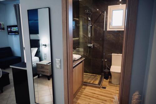 a bathroom with a shower and a toilet at VILLA Konstantinos in Agios Georgios
