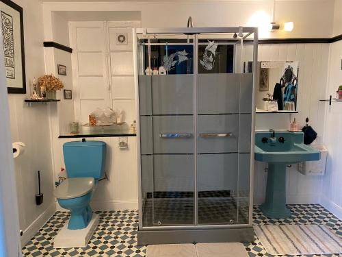 a bathroom with a shower and a toilet and a sink at Rêve du Revert in Roz-sur-Couesnon