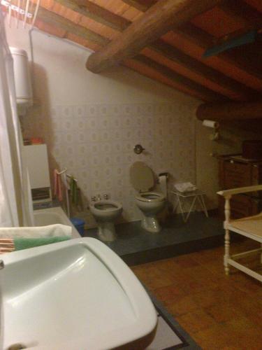 a bathroom with a toilet and a sink at Agriturismo Antica Golena in Guastalla