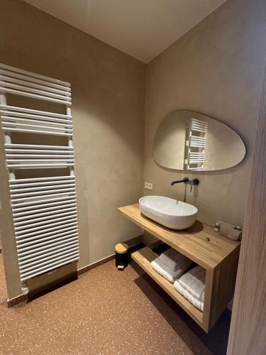 a bathroom with a sink and a mirror at L'O De Source in Sart-lez-Spa