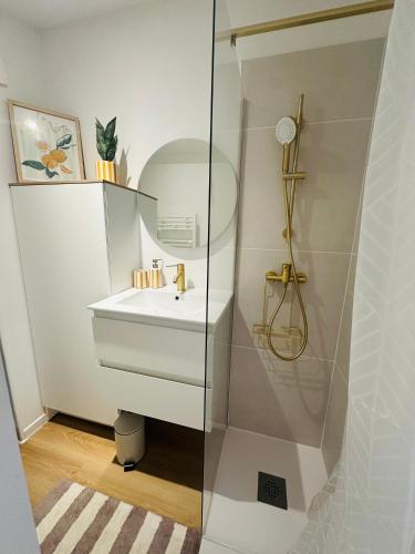 a bathroom with a sink and a mirror at Aytré plage in Aytré