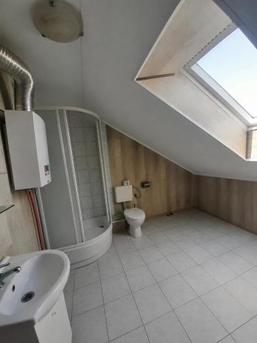 a bathroom with a sink and a shower and a toilet at Agroturystyka Hogata in Wąchock