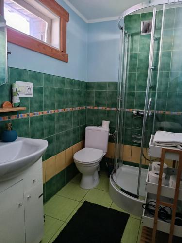 a green bathroom with a toilet and a shower at Domek Zapiecek in Białowieża