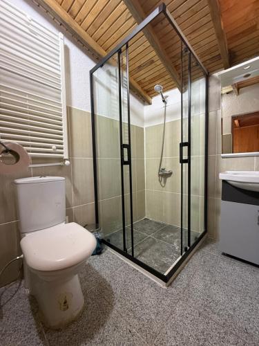 a bathroom with a toilet and a shower and a sink at Kybele Nature Life in Edremit