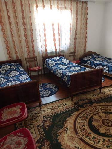a bedroom with two beds and a window and a rug at Guest hous Aibek in Kurmenty