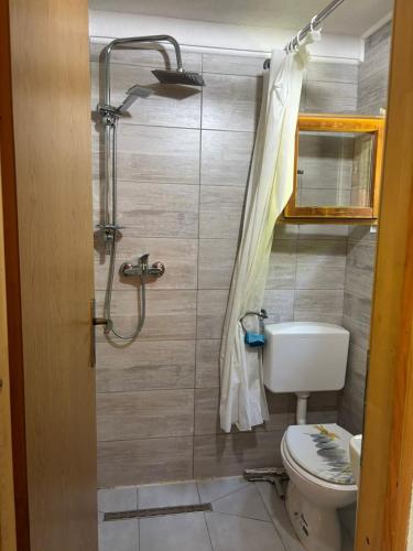 a bathroom with a toilet and a shower at Pure Nature in Bihać