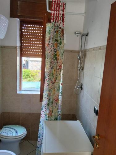 a bathroom with a shower with a toilet and a window at SunFra Retreat in Belvedere Marittimo