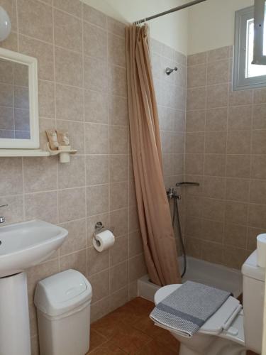 a bathroom with a shower and a toilet and a sink at Ta Adelfia in Pylos