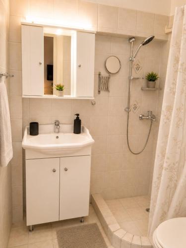 Aiolos Boutique Apartment in Glyfada