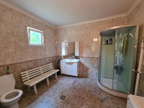a bathroom with a bench and a shower and a toilet at Zeta River Retreat in Danilovgrad