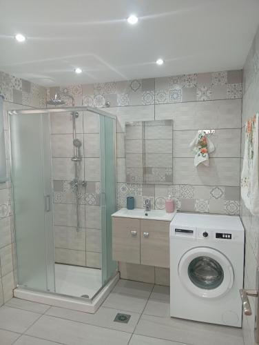 a bathroom with a shower and a washing machine at Nikolas Aggelis rooms in Pera Gyalos