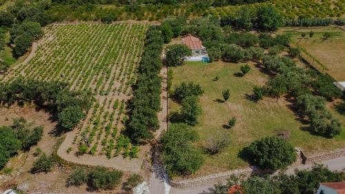 an aerial view of a garden with a house at Captain`s Cottage in Kaštela