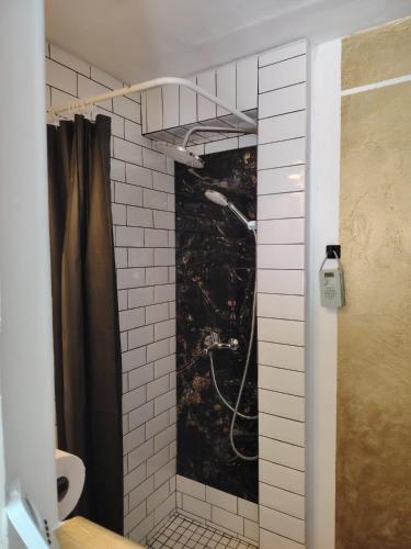 a bathroom with a shower with a shower curtain at Studio Kyllburg-Eifel in Kyllburg