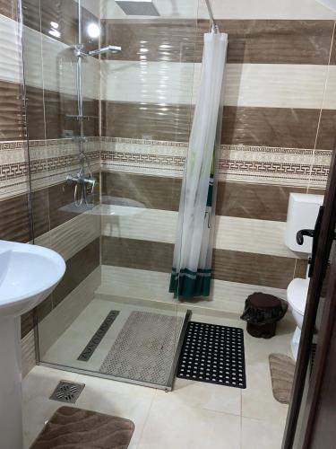 a bathroom with a shower and a sink at Pensiunea Casa Deny in Novaci-Străini