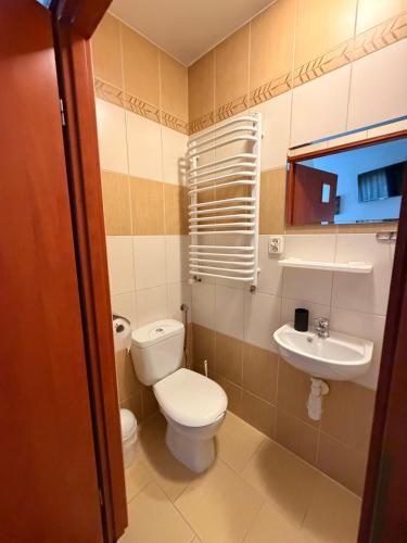 a bathroom with a toilet and a sink at Spokojna Zagroda in Biały Dunajec