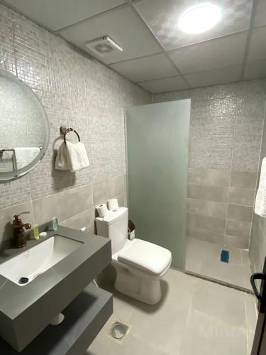 a bathroom with a toilet and a sink and a shower at SaLem rum in Wadi Rum